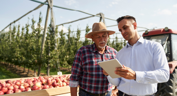 Foto Gestão de terceiros no agronegócio: o guia completo para prevenir riscos e proteger sua marca